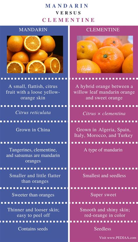 mandarins vs clementines